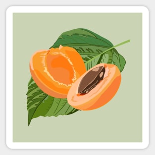 Apricot Summer Fruit Sticker